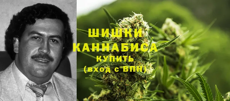 где купить наркоту  Старый Оскол  Каннабис OG Kush 